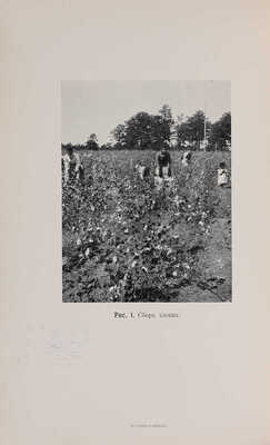 Бэркетт Ч.В. Хлопок. Культура, торговля, промышленная обработка хлопка в США и задачи хлопководства. СПб., 1908.